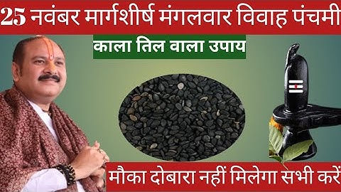 25 नवंबर मंगलवार विवाह पंचमी के दिन 1 छुटकी काला तिल वाला उपाय जरुर करे || Pradeep Ji Mishra 