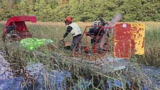 longer test run of the ReedEco Phase 3