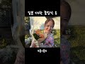 일본인 친동생 사회인 되신 날