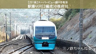 【251系】スーパービュー踊り子号⑩　駅撮り(RE2編成)@根府川 (2020年)