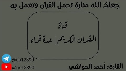 سورة النمل - أحمد الحواشي Surat An-Naml - Ahmed Al-Hawashi