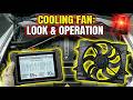 BMW X5 E70 N52 What does a cooling fan look like and operate?
