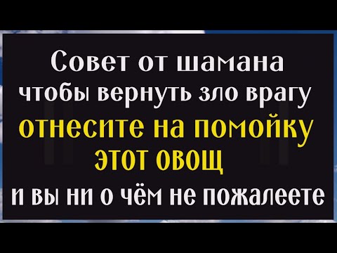 Вечером отнесите этот овощ на помойку и всё зло вернётся врагу