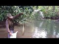 Mancing Sidat Besar I Catching The BIGGEST Freshwater EEL (AMAZING)
