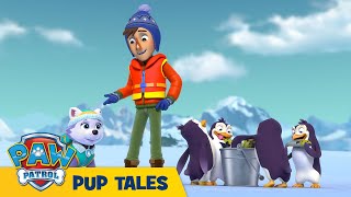 🐶 Pups Save A Teeny Penguin | PAW Patrol | Cartoons for Kids by Talking Tom & Friends TV Mini 6,095 views 4 weeks ago 2 minutes, 1 second