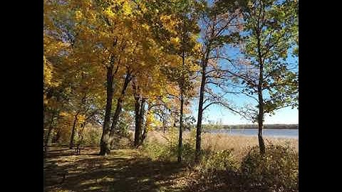 The Intangible-"Symbiosis"