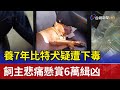 養7年比特犬疑遭下毒 飼主悲痛懸賞6萬緝凶