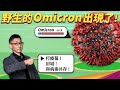 認識 Omicron 變異病毒的厲害！Covid-19 確診數上升，未來會流感化嗎？