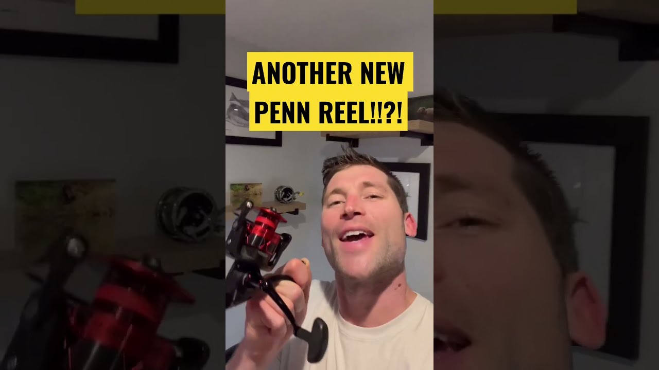 PENN Fierce 4 review, compared against the Fierce 3 spinning reel 