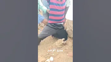 رصد الكنز المدفون 