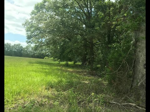 8101 BANKHEAD HWY, Dora, AL home video tour