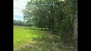 8101 BANKHEAD HWY video tour