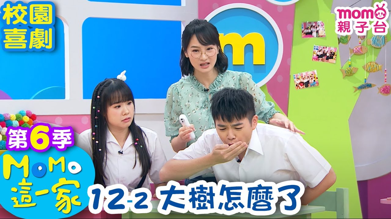 #MOMO這一家【大樹怎麼了】第六季 12集 單元2|家庭校園喜劇|趣味短劇|兒童電視節目【親子台|官方HD網路短版】#momokids 親子台