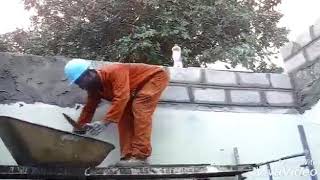 Laecoro De Zico Zi12