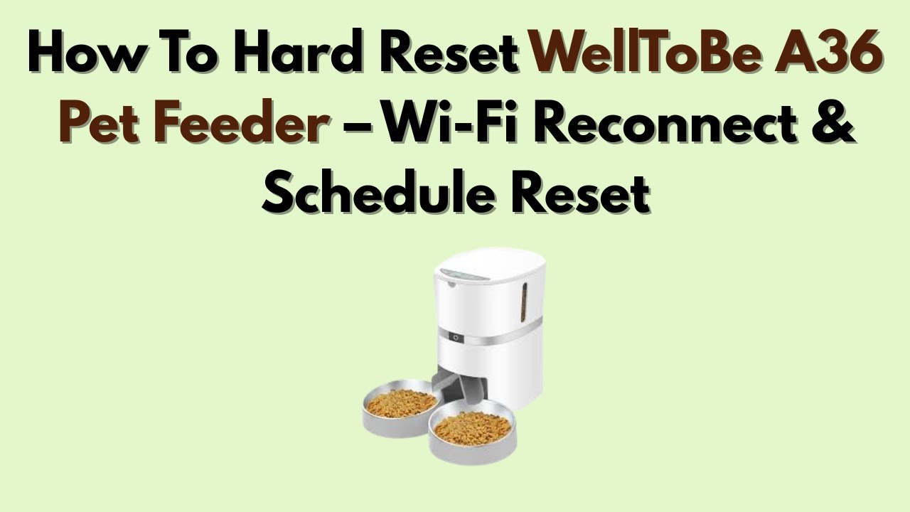 How to Reset Automatic Cat Feeder​: Easy Steps for Quick Setup