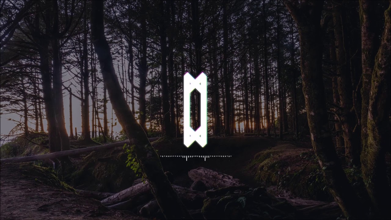 Status Zero Forest Of Creatures [Trance] YouTube