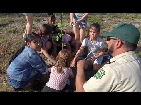 Volusia County Schools: Students Plant Trees on Campus of George Marks Elem. Following Tornado