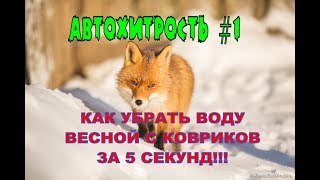 Автохитрость #1. Весна, вода на коврике.