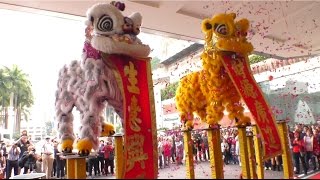 This traditional chinese lion dance is performing to welcome the
(lunar) new year and bless everyone with good fortune. for more
information on inter...