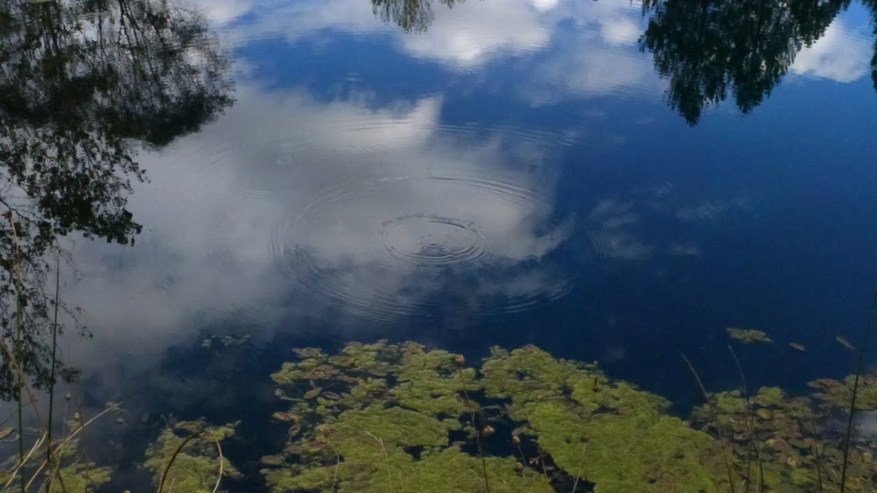 Nacimiento del río Abión · La Fuentona de Muriel (Castilla y León)