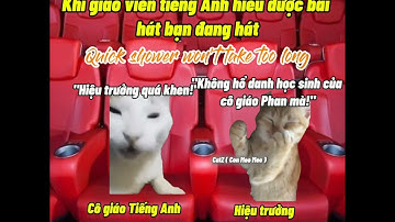 Khi giáo viên tiếng Anh hiểu được bài hát bạn đang hát #cat #meme #catmemes