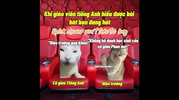 Khi giáo viên tiếng Anh hiểu được bài hát bạn đang hát #cat #meme #catmemes