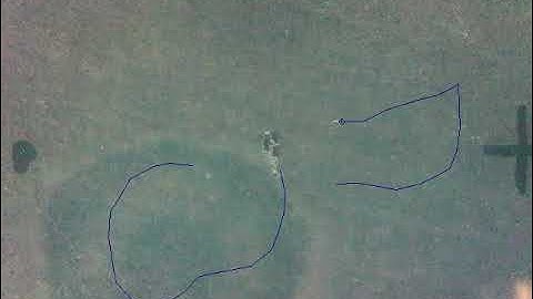 C. elegans nematode orienting in the ABSENCE of magnetic fields (control for magnetic orientation) 4
