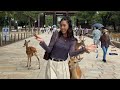 hinabol ako ng deer