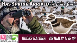 Have spring birds arrived in Sax-Zim Bog? Virtually Live 36 S4E1