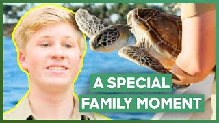 The Irwins Set A Sea Turtle Free | Crikey! It's The Irwins