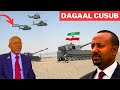 DEG Itoobiya O Loo Ogolaaday Inay Gadato Dakada Saylac Lacagta Laga Qaadayo Cidanka Cirka Somalia DEG Itoobiya O Loo Ogolaaday Inay Gadato Dakada Saylac Lacagta Laga Qaadayo Cidanka Cirka Somalia