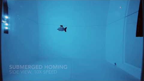 A Miniature Low-cost Underwater Robot, using multiple fins for robust 3D movement