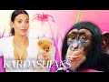 6 Times Animals Stole The Show On "KUWTK" | E!