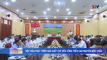 Hội thảo Phát triển sản xuất Chè bền vững trên Cao nguyên Mộc Châu
