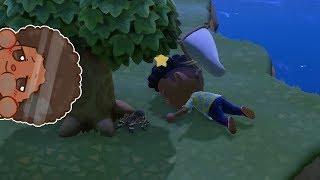 Island Tarantulas are aggressive [Animal Crossing NH]