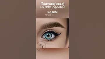 Процесс заживления после перманентного макияжа бровей #shorts