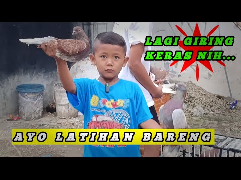 IZAL SEMANGAT BANGET NGELATIH MERPATI NYA
