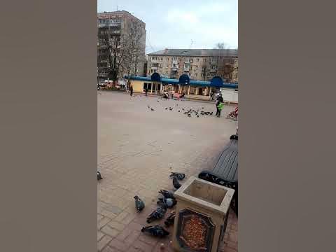 #плошадь - YouTube