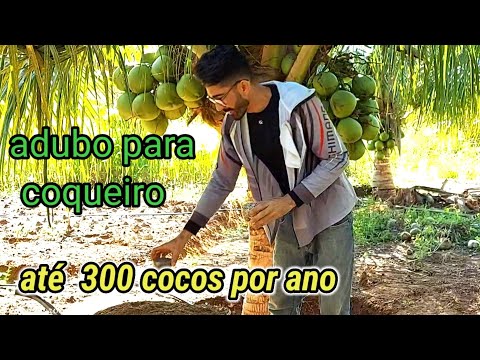 Vídeo: Fertilizante para Coqueiros - Quando e Como Adubar Coqueiros