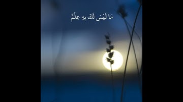 قران كريم / حالات واتس اب / القارئ اسلام صبحي ( وَوَصَّيْنَا الْإِنْسَانَ بِوَالِدَيْهِ حُسْنًا ۖ )