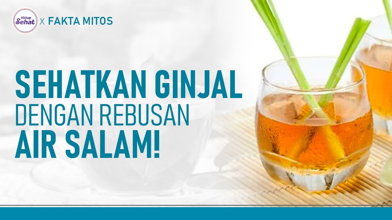 Manfaat Daun Salam Jika Direbus dan Diminum Setiap Hari | Hidup Sehat