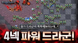 10분인데 인구수 200?! 파워 드라군 물량 미쳤습니다!