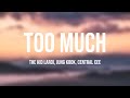 TOO MUCH - The Kid LAROI, Jung Kook, Central Cee -Lyric Version- 🦋