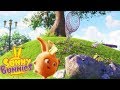 Cartoons for Children | SUNNY BUNNIES - FLY CATCH | Funny Cartoons For Children