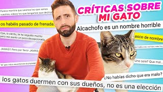 CRÍTICAS Y DUDAS sobre cómo estoy educando A MI GATO ALCACHOFO|Preguntas y respuestas sobre mi gato