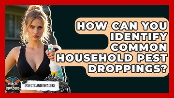 How Can You Identify Common Household Pest Droppings? - Insects and Invaders