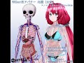 VRChatアバター　内臓（女性）