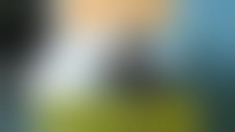 DAYS GONE Chasing Leon Opening cutscene