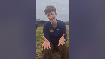 Green Voices Ep 15 - Lorienne Whittle: Financing rewilding