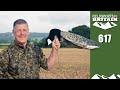 Fieldsports Britain – Crowy's big bird ambush